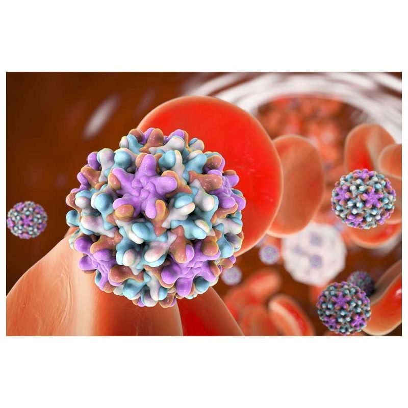 Hepatitis B