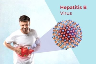 hepatitis b