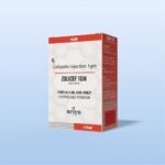 ZOLICEF 1GM-injection-exporter-india